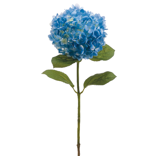 Hortencias